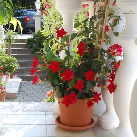 Apartament In - Balaton 18892 *